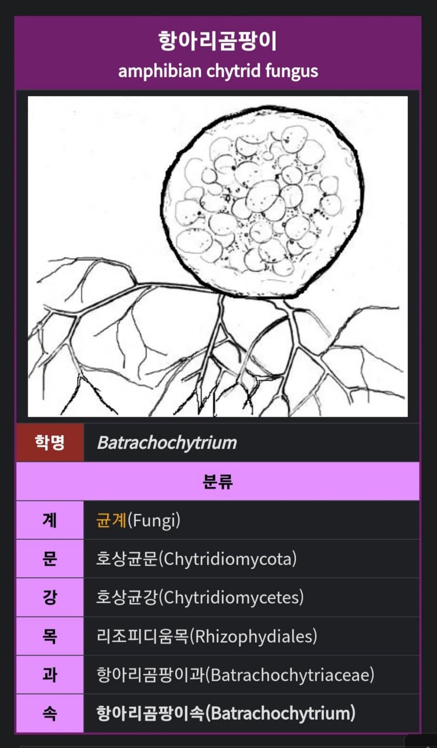 1ebec223e0dc2bae61abe9e74683706d22a04583d2d5c9b0b7c2c4044f1790930982d9327c0984add1f1fdf1529b7e1cf4