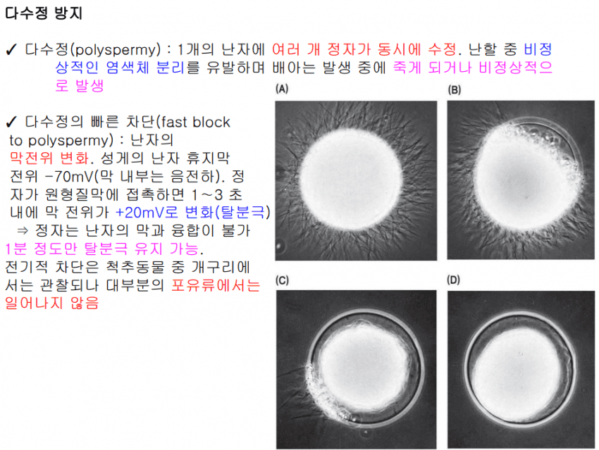 20bcd423ecdc39a477acc5f8448176694fbe96ad448c1ae3940ae8a7f1a84affada7da0d8215d996b52a3685a5d67cb0531919108c1f