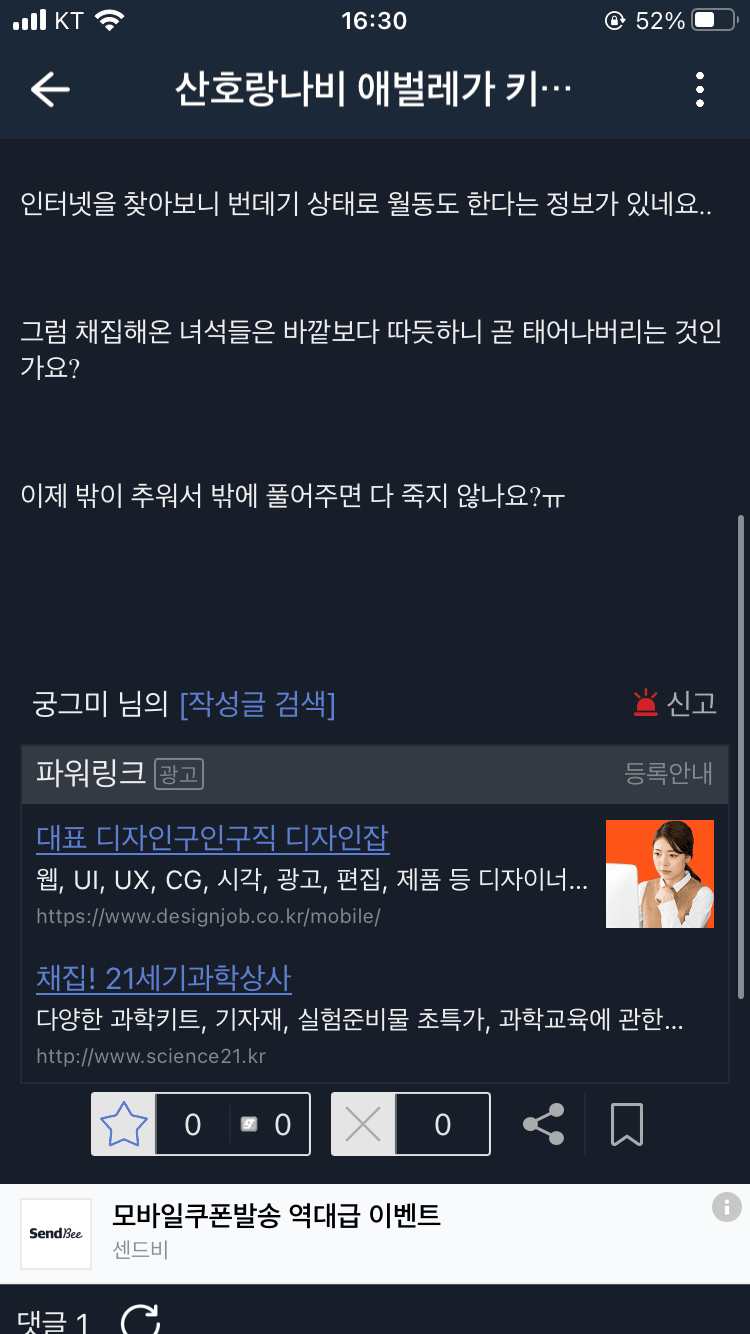 산호랑나비 애벌레가 겨울 나고 우화해서 나비기 된 근황 - 실시간 베스트 갤러리