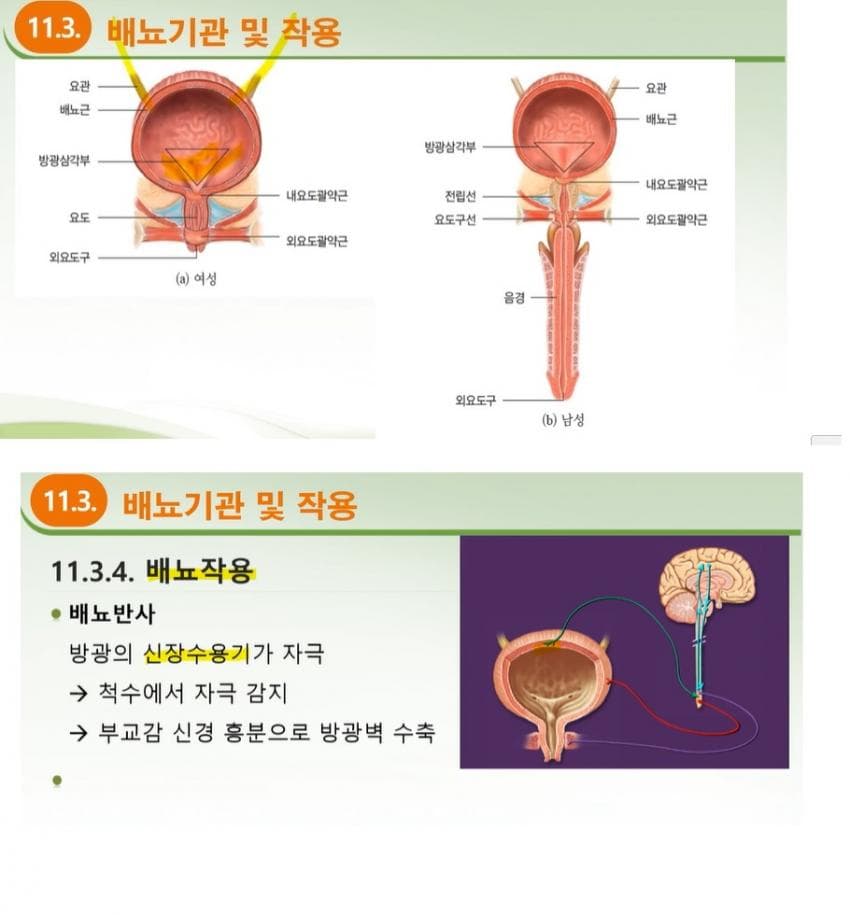 a14a1caa1b22b45f8eff5d57de5ddacd6902c5e1dc6a6c3bf4cc8aaa3616a0ab16fef339df3876b870a818bbe764d67944609b856943cf26cbf83aeed347e82bfe4551bd