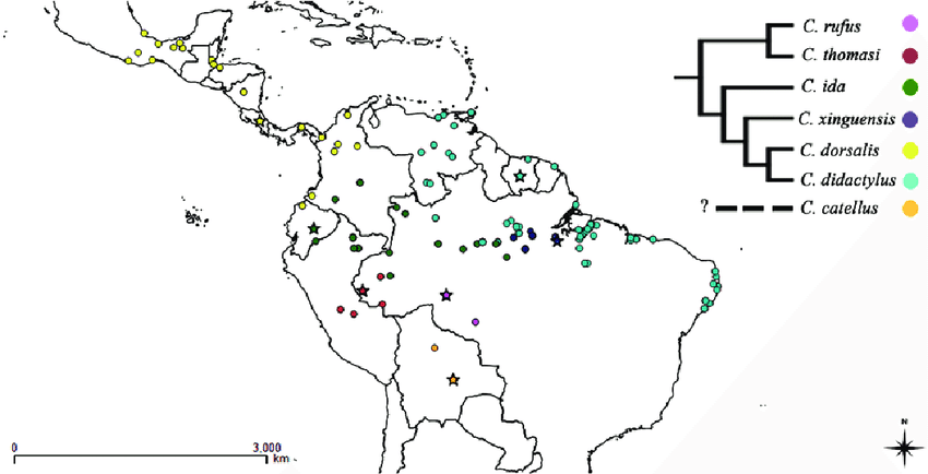 1ea8d721e0c12ca36af2d1b019d6363c4ff853f36449c0b266b72ac6fb92da9ad87c00edcc76dd5d0121166c922fe04fed73b5ce926162b8c4689ee80b96153134e69195fb1de3ed092946a47b5c34337046da429138d9a11d26498fa41db7602b90238112