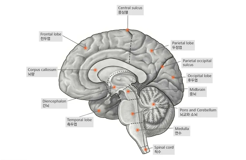 14a7f87fb6856a814d93f7b431dc0a256f073866ea48e999d57ef9bf7c3b2569270933bf442c83771c080ef5dd36f1573750f9f3f67e8216a36eedd87b51e3d70286e237412e2dd96d12ba9fa64e7526911d3e7330d6b4e72d814def9fe5313c3af9ccb46765