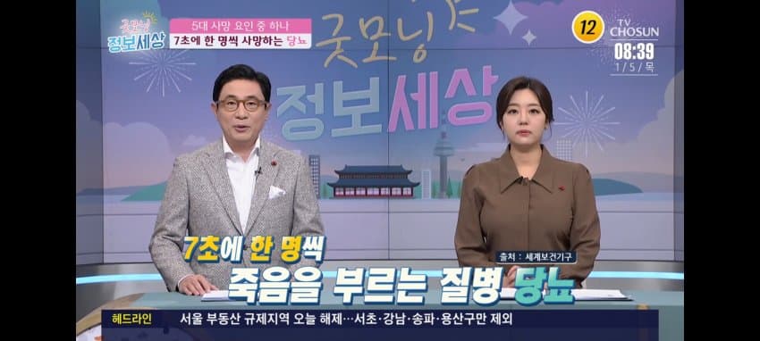 230105 Tv 조선 굿모닝 정보세상 이진희 - 아나운서 갤러리