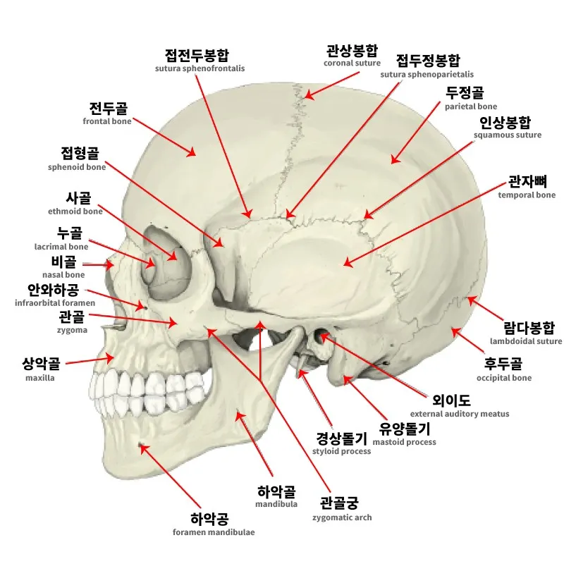 7ceb8973b6826cf33de798a213d3341de23966607297141c2d5e