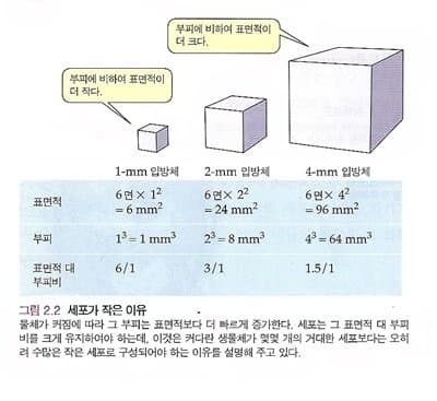 a04c2cad2c06b4668f343a559d07c4b0b1a360162bdbd203d885c6b1a1da0a47a2a8a722938276942b7b3b07072a