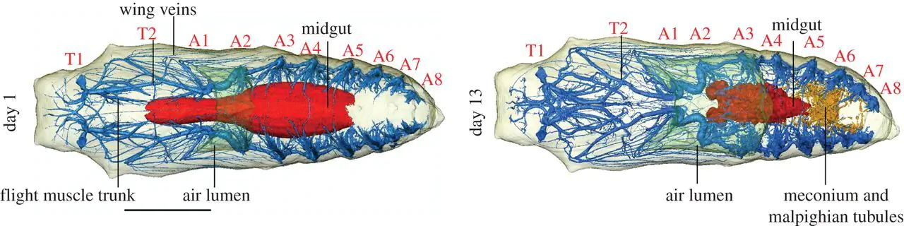 24b0d76eb79b76b16bbdc69528d5270362007eaffd0b